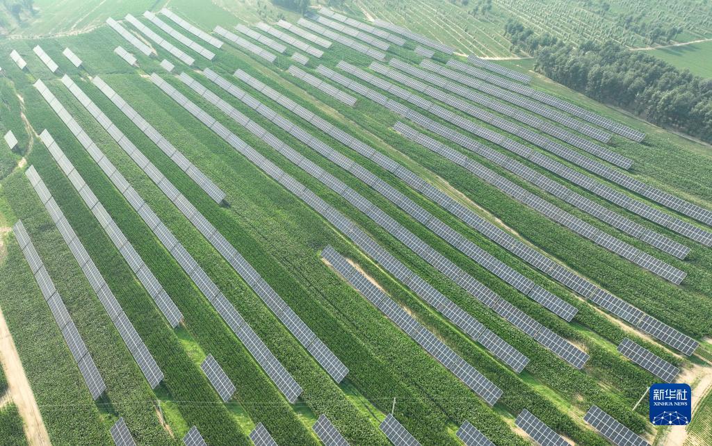 太阳城游戏[中国]官方网址